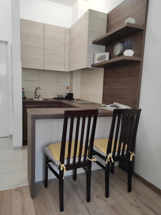 Studio Apartman Dani Banja Koviljaca Exterior photo